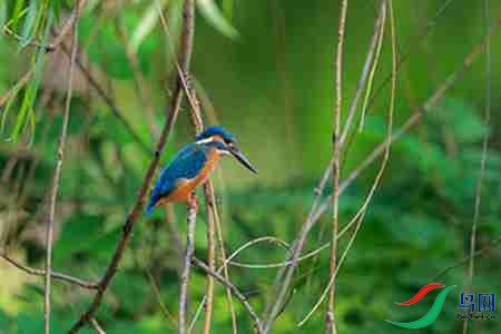 B17P3139 - 副本.jpg