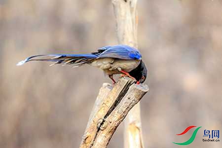 B17P3869 - 副本.jpg