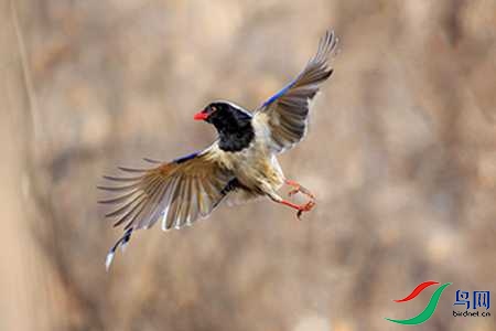 B17P3880 - 副本.jpg