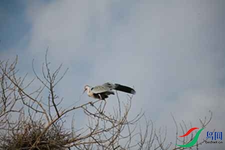 IMG_0018 - 副本.jpg