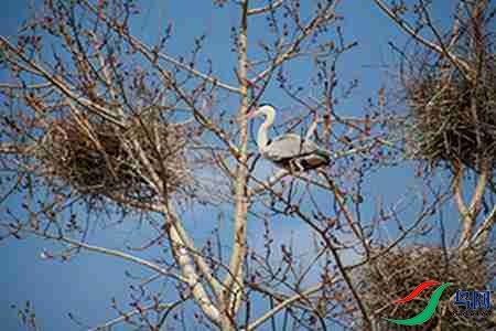 IMG_0029 - 副本.jpg