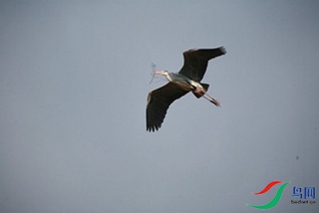 IMG_0033 - 副本.jpg