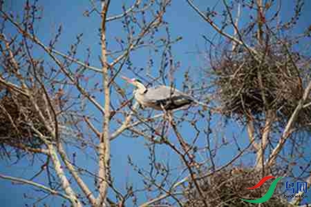 IMG_0047 - 副本.jpg