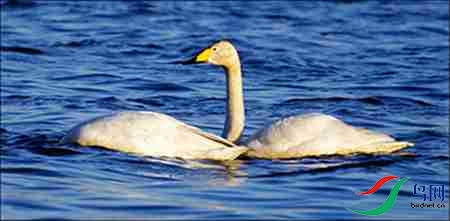 9BK5I3639-6 - 副本.jpg