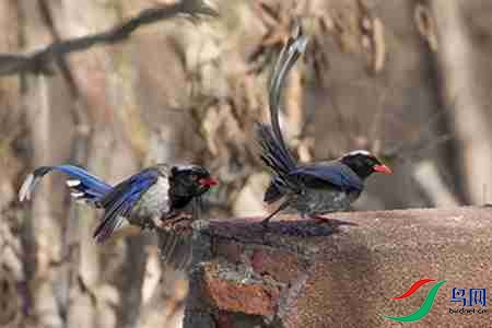 B17P0890-1 - 副本.jpg