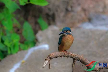 B17P3039 - 副本.jpg