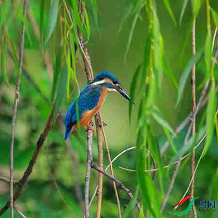 B17P3137 - 副本.jpg