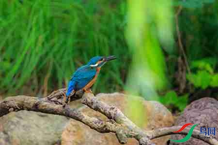 B17P3297 - 副本.jpg