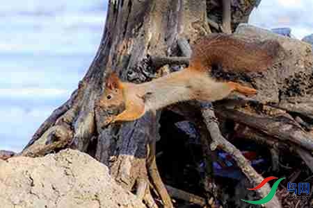 B17P3724 - 副本.jpg