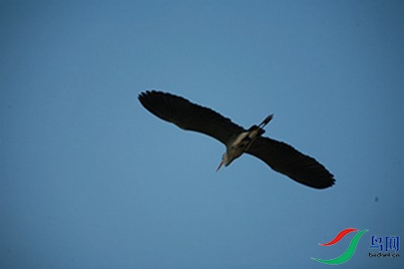 IMG_0097 - 副本.jpg