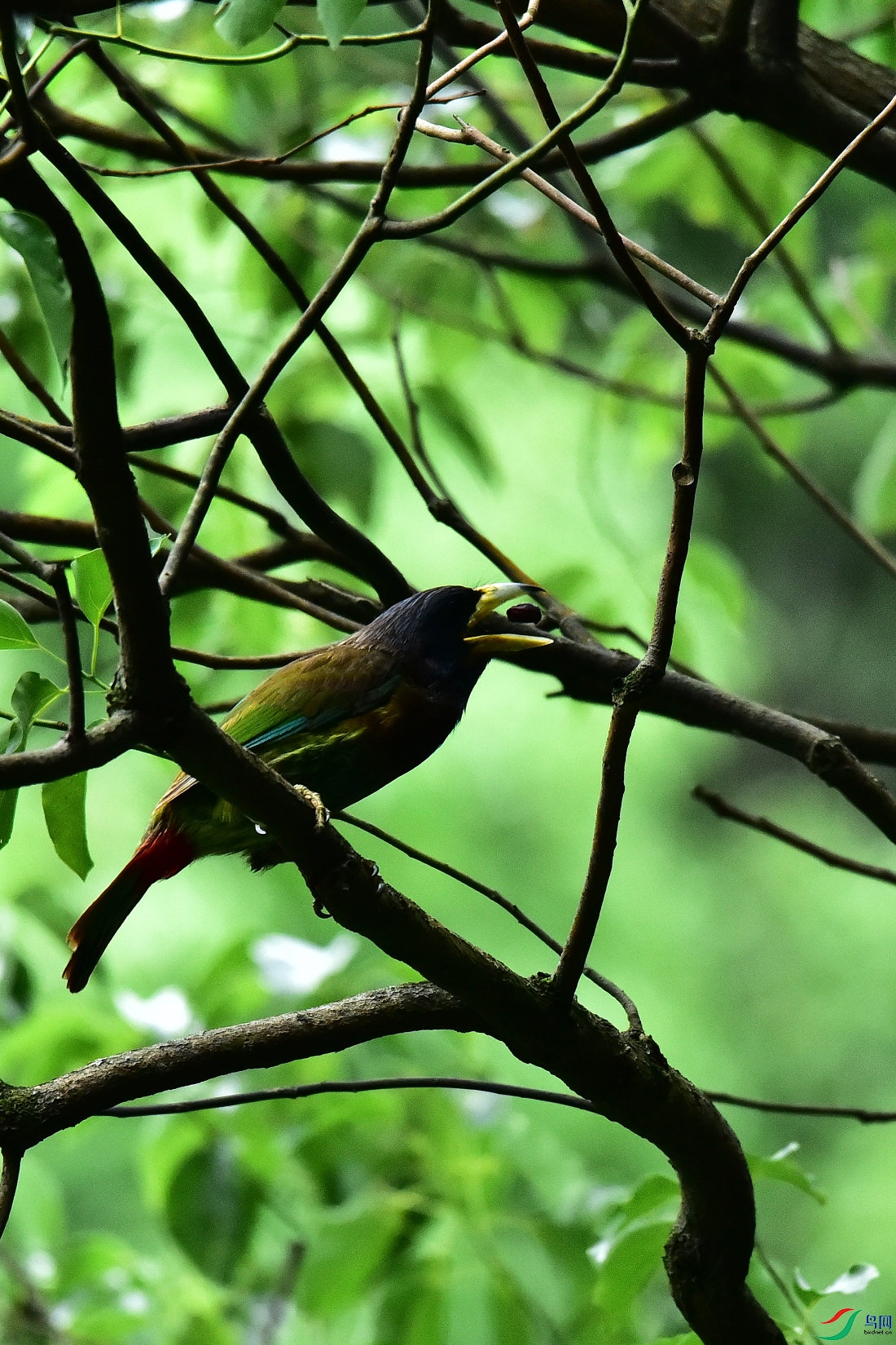 DSC_0605.JPG