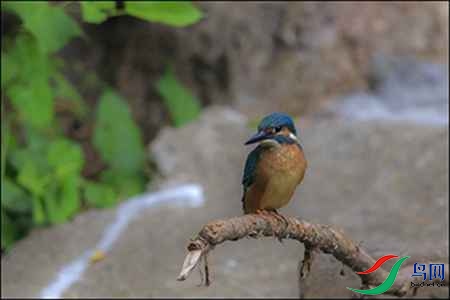 B17P3039-11 - 副本.jpg