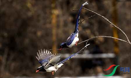 B17P3203-0 - 副本.jpg