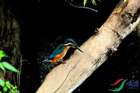 B17P3283 - 副本.jpg