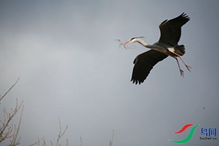 IMG_0035 - 副本.jpg