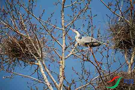 IMG_0049 - 副本.jpg