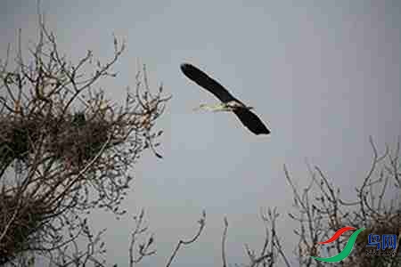 IMG_0052 - 副本.jpg