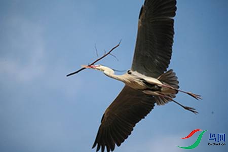 IMG_0058 - 副本.jpg