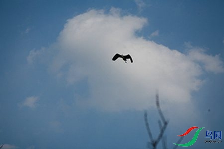 IMG_0083 - 副本.jpg