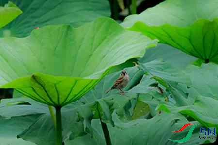 B17P0007 - 副本.jpg