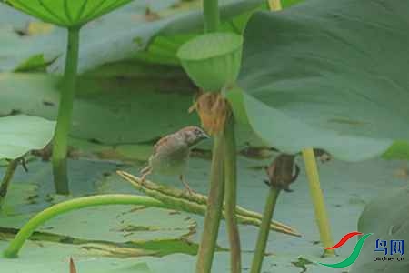 B17P0031 - 副本.jpg