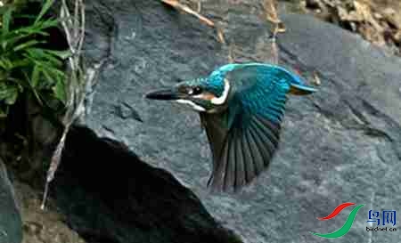 B17P2781 - 副本.jpg