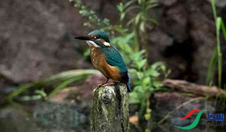 B17P2795 - 副本.jpg