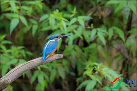 B17P2996-9 - 副本.jpg