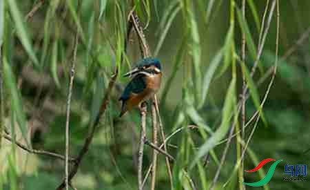 B17P3127 - 副本.jpg