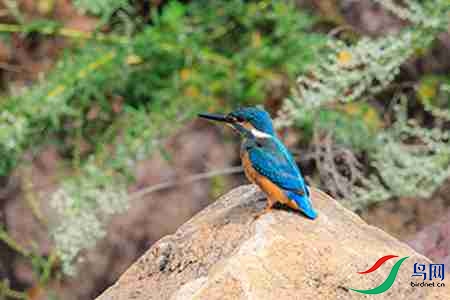 B17P3168 - 副本.jpg