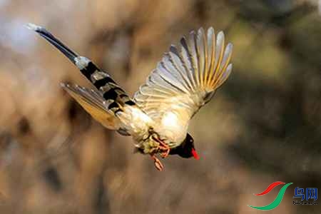 B17P3621 - 副本.jpg