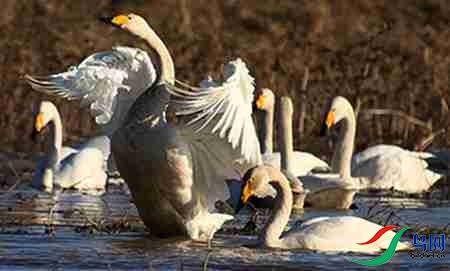 B17P4683 - 副本.jpg