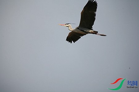 IMG_0021 - 副本.jpg