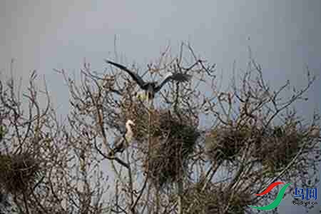 IMG_0027 - 副本.jpg