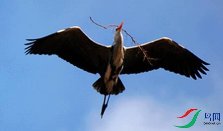 IMG_0056-1 - 副本.jpg