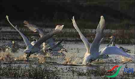 7B17P6274-25 - 副本.jpg