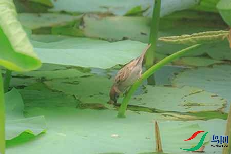 B17P0024 - 副本.jpg