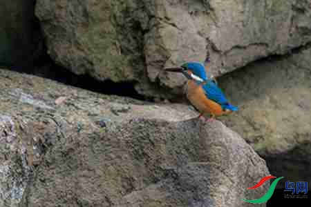 B17P3022 - 副本.jpg