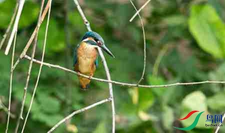 B17P3154 - 副本.jpg