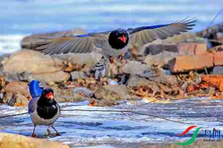 B17P3565 - 副本.jpg