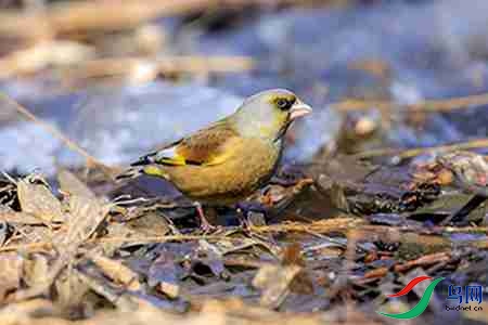 B17P4007 - 副本.jpg