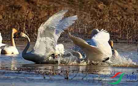 B17P4674 - 副本.jpg