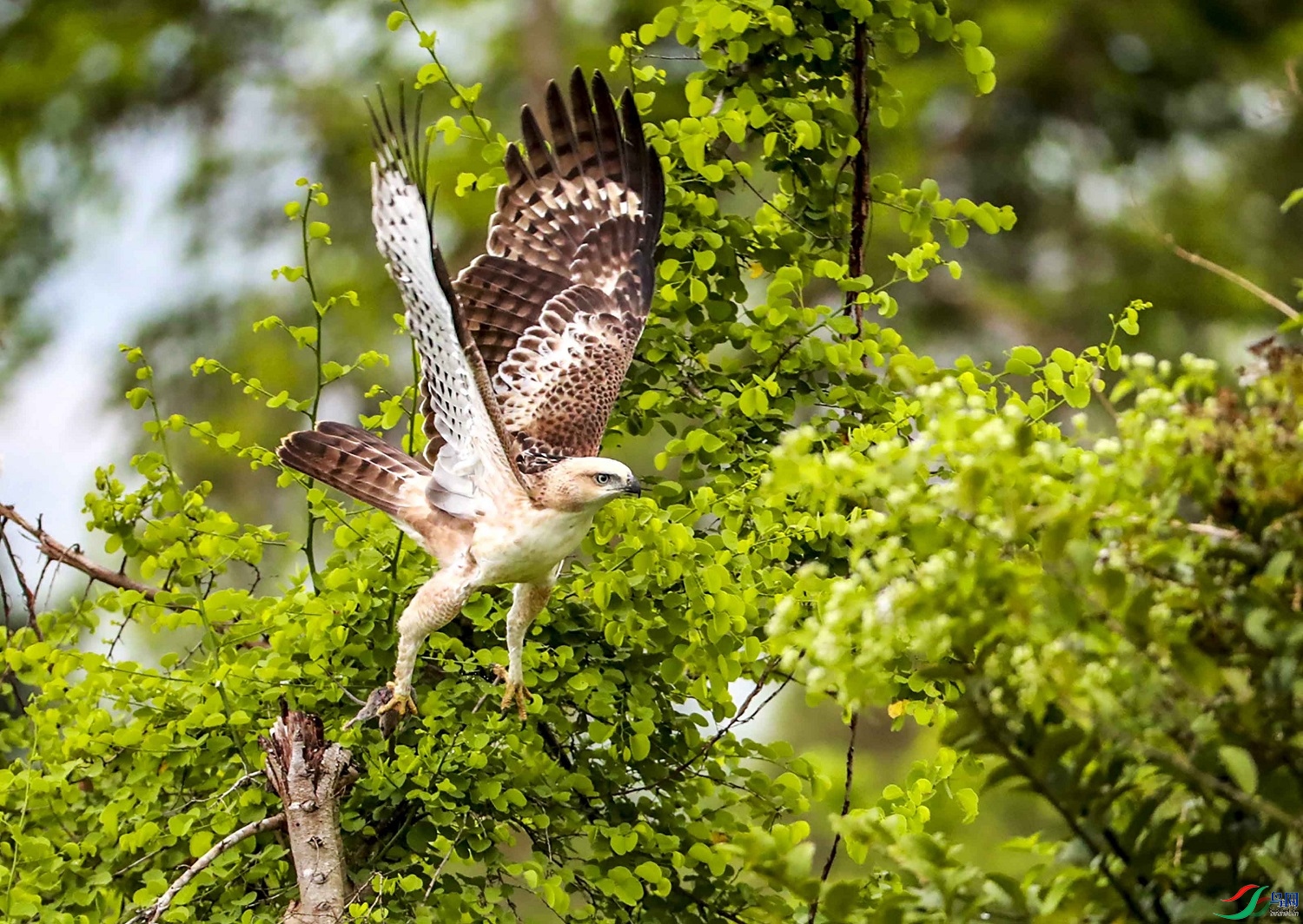 ƽ�� ��ʦ��������������0.jpg