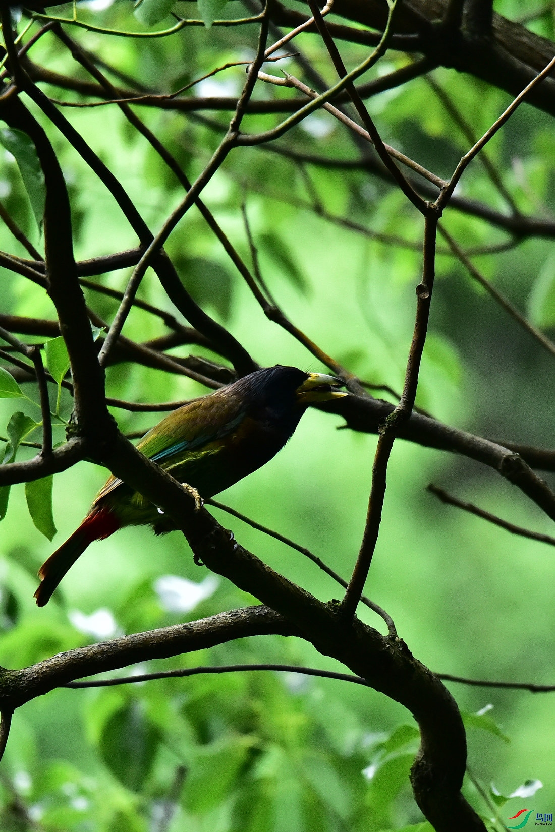 DSC_0606.JPG