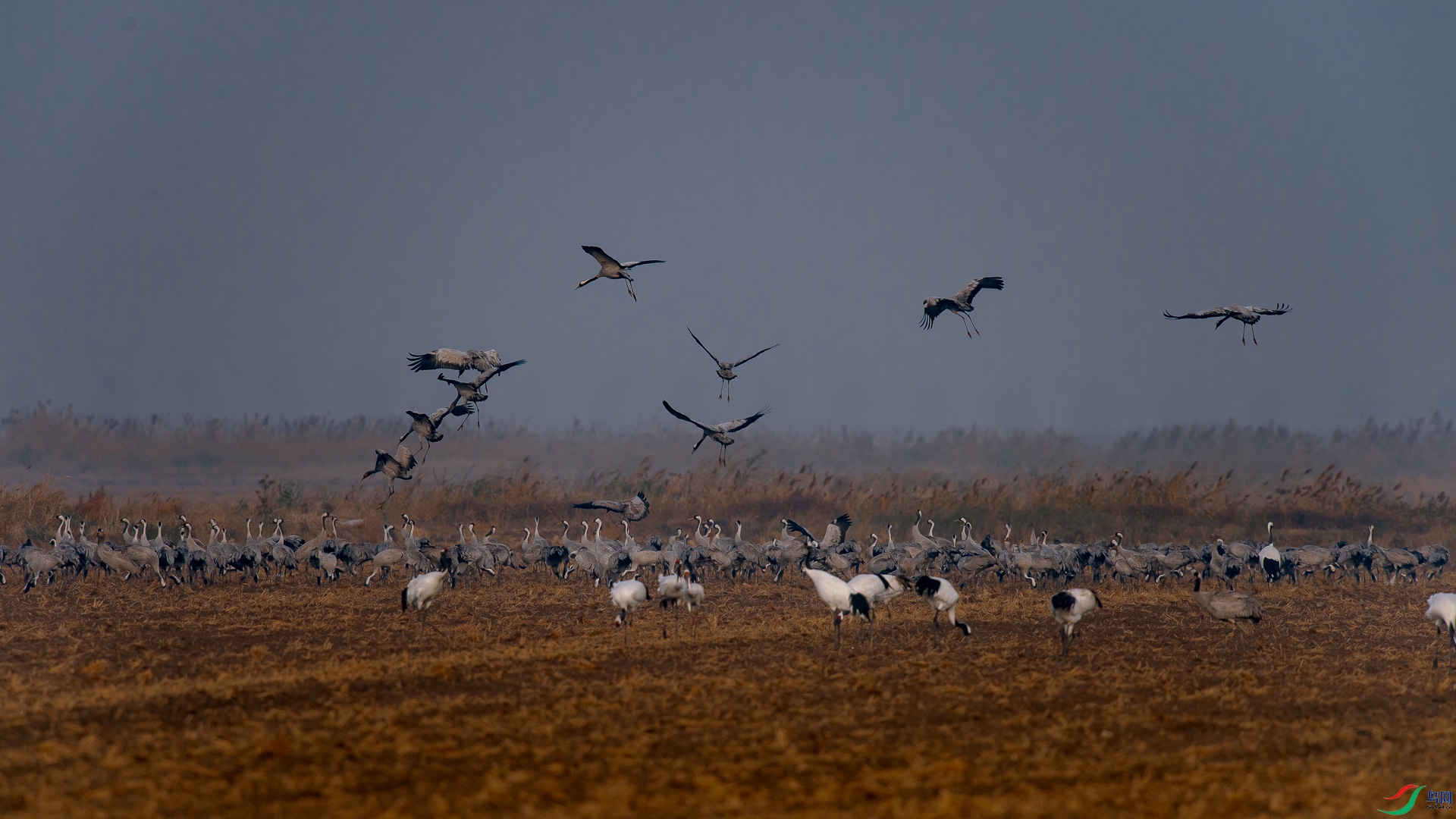 DSC_9282.jpg