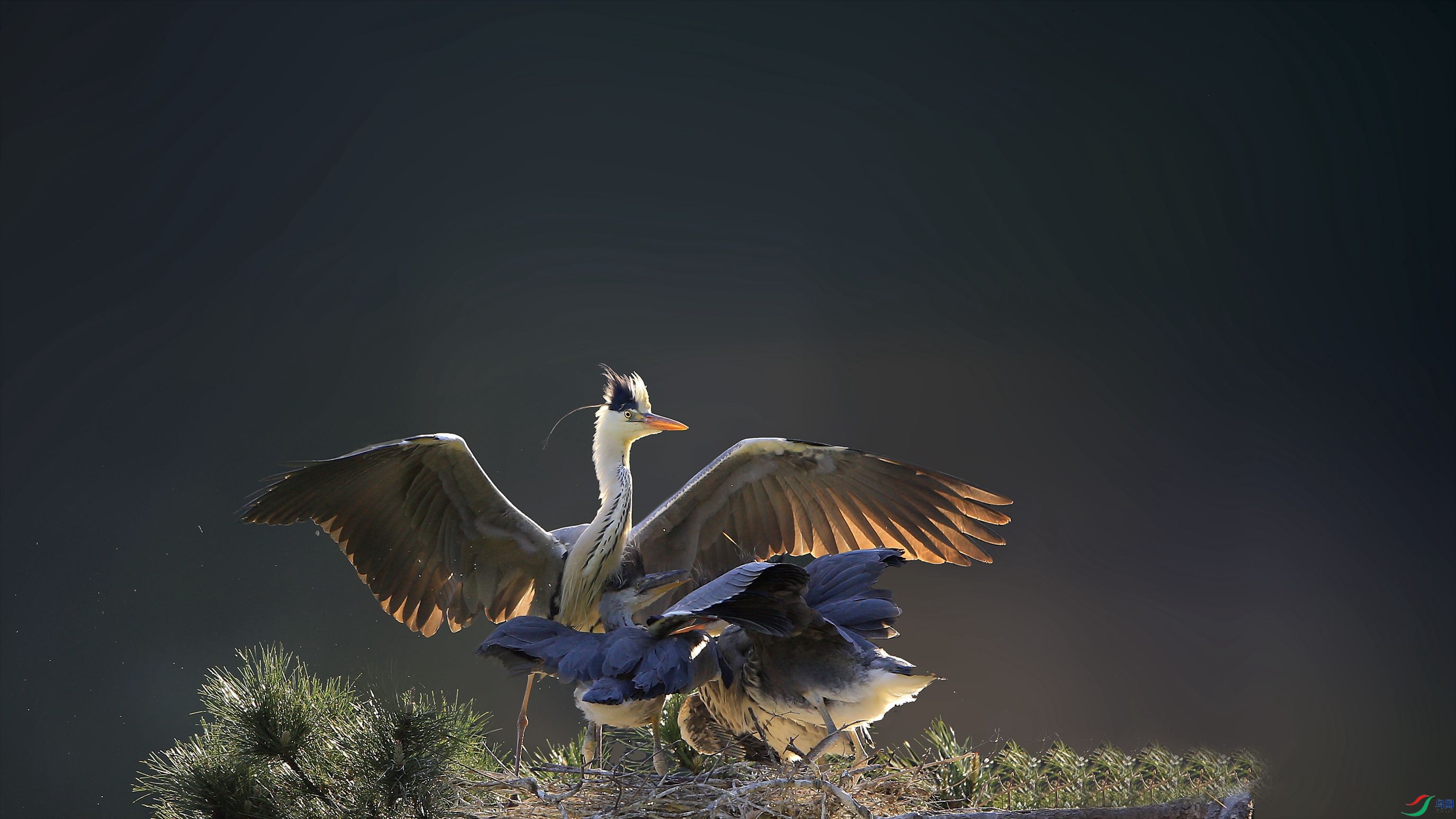 AQ8R3533_����.jpg