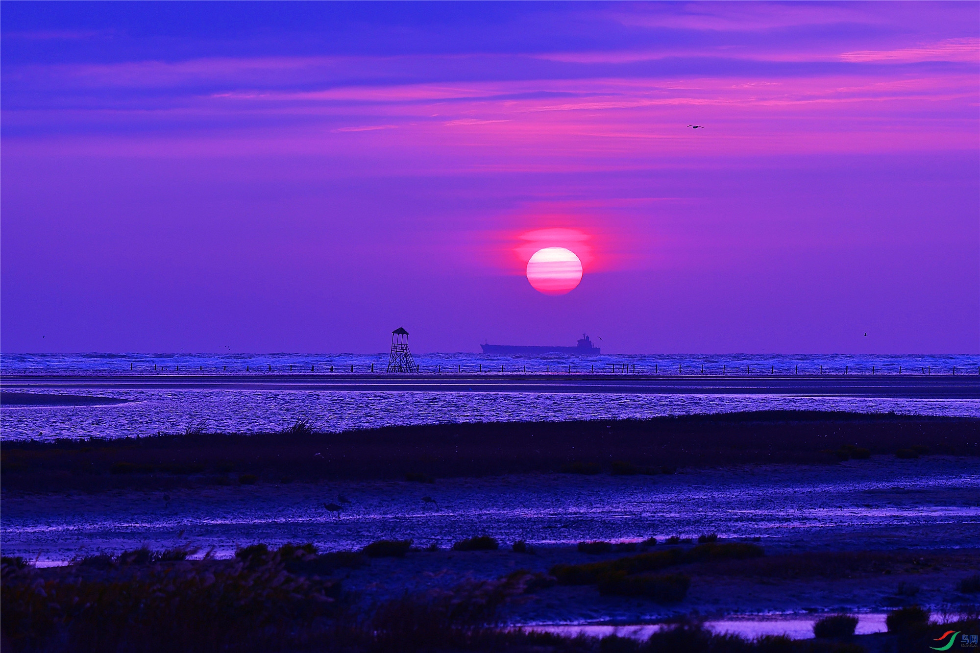 dsc_3863_����.jpg