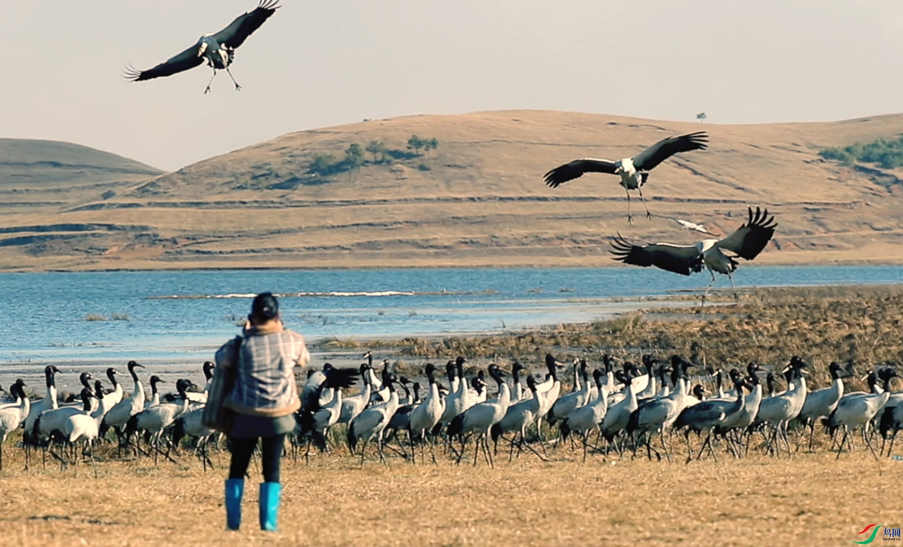 ����2021-01-09 ����5.17.51-2.jpg