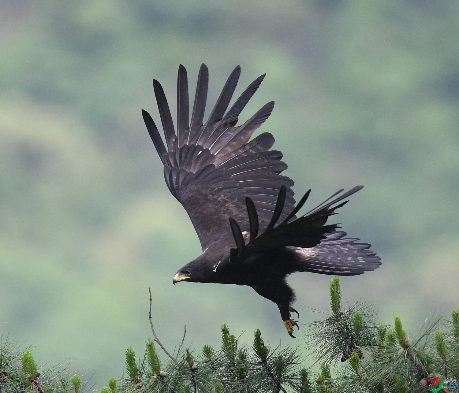 ����ϸ��  ��ʦ�����ڸ���ʡ������10.jpg