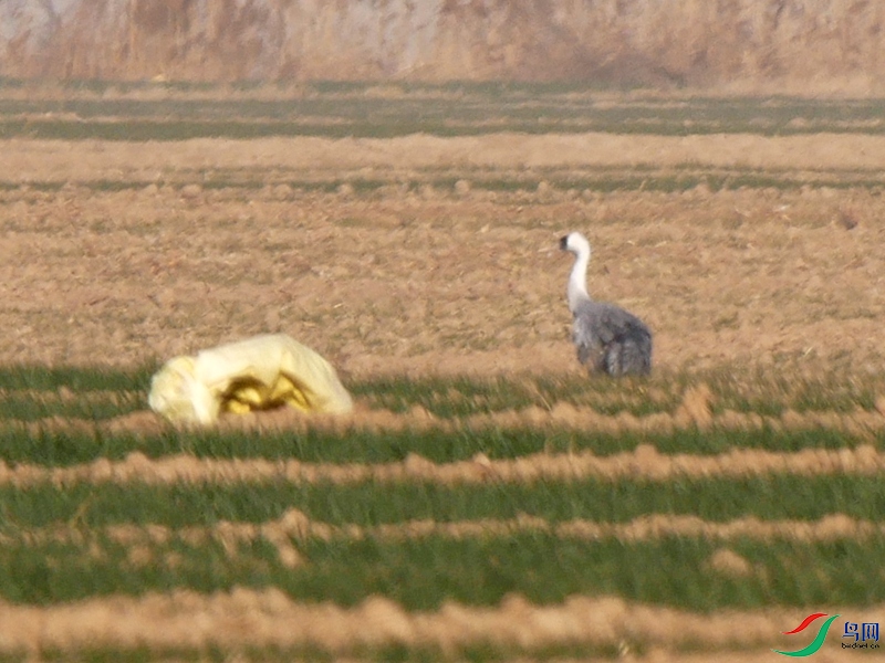 P5920422 - ����.JPG